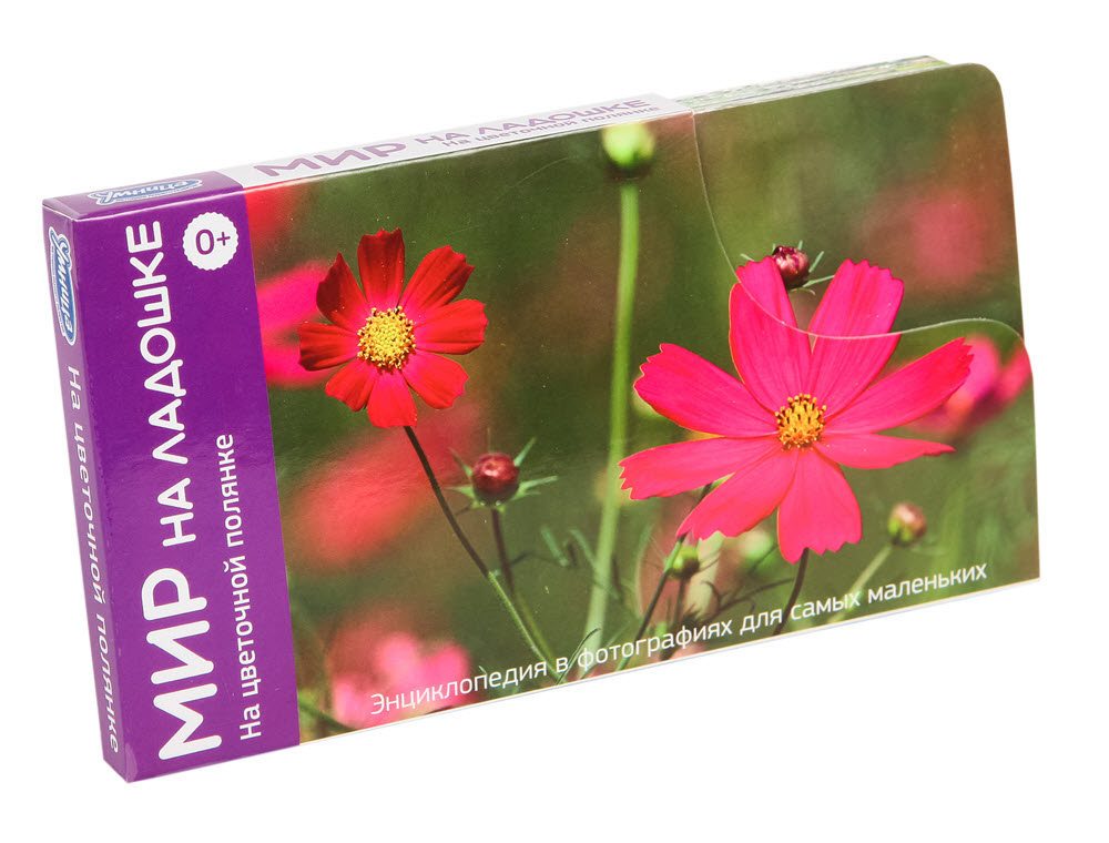 Мир на ладошке Умница "НА ЦВЕТОЧНОЙ ПОЛЯНКЕ"